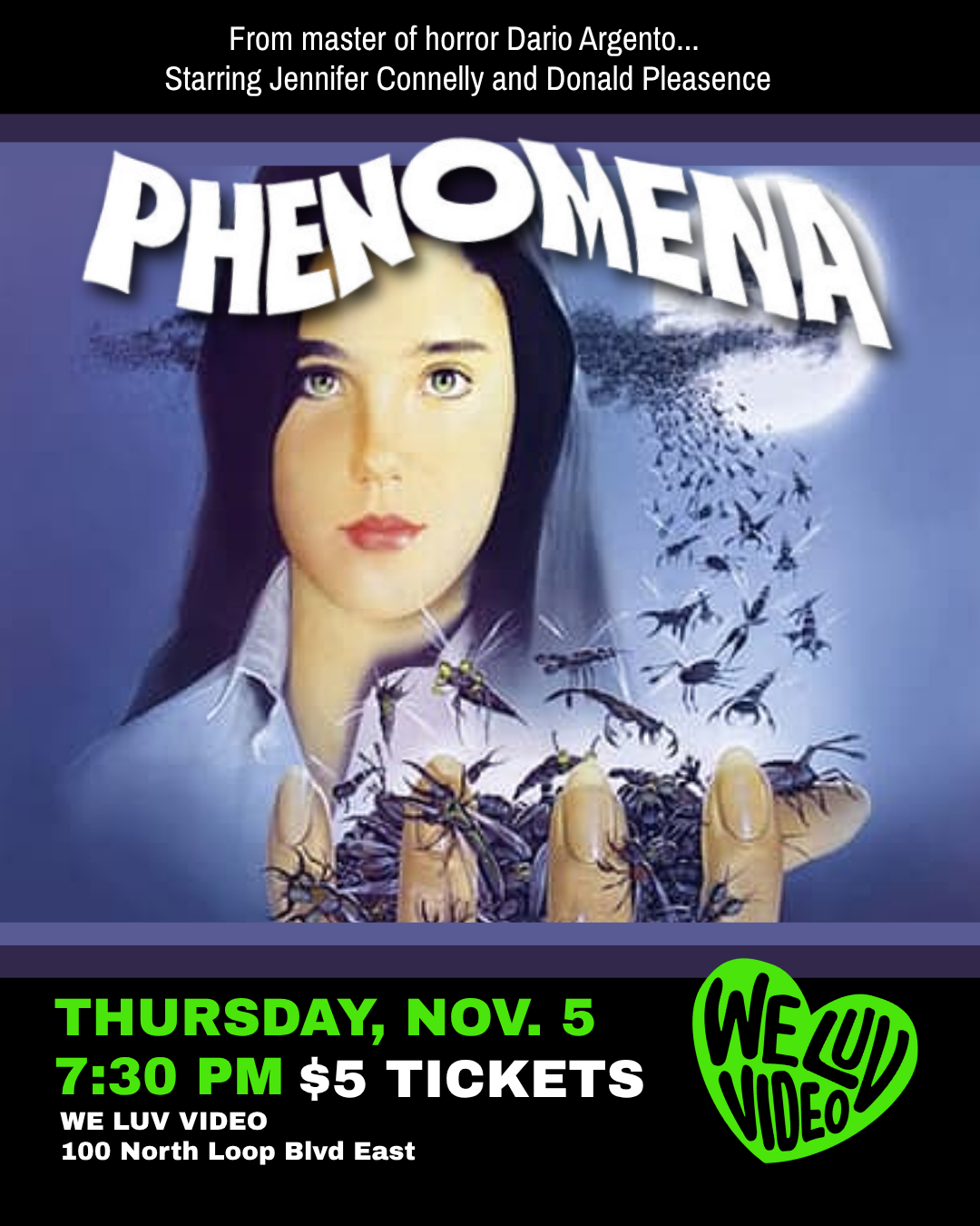 Phenomena (Window Display Artist!)
